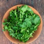 Cress - Trio (w/ Barbarea verna or Lepidium sativum)