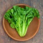 Chicory - Escarole