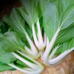 Asian Greens - Pak Choy Cantonese - White - Gambar 2