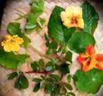 Salad Mix - Wild - Gambar 2