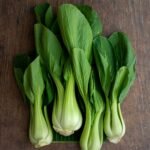 Asian Greens - Bok Choy - Shanghai Green
